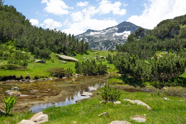 Paisagem Com Pequeno Rio Montanha Pico Banderishki Chukar Pirin Mountain — Fotografia de Stock