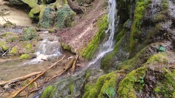 Cascada Cascadas Bachkovo Montaña Rhodopes Región Plovdiv Bulgaria — Vídeos de Stock