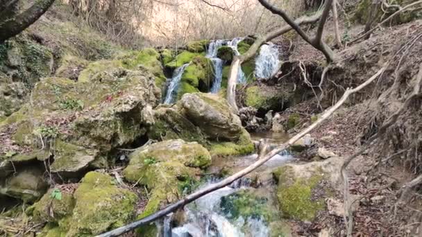 保加利亚普罗夫迪夫地区Rhodopes山的Bachkovo瀑布 — 图库视频影像