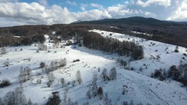 Zimowy Widok Lotu Ptaka Górę Vitosha Rejonie Kopititoto Obwód Sofijski — Wideo stockowe