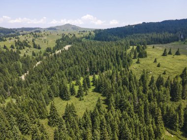 Bulgaristan 'ın Sofya Şehir Bölgesi, Vitosha Dağı' ndaki Konyarnika bölgesinin havadan görüntüsü
