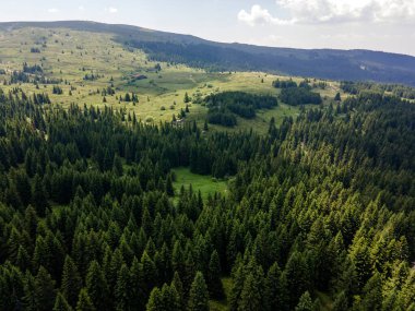 Bulgaristan 'ın Sofya Şehir Bölgesi, Vitosha Dağı' ndaki Konyarnika bölgesinin havadan görüntüsü