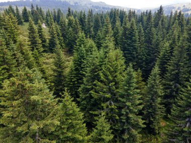 Bulgaristan 'ın Sofya Şehir Bölgesi, Vitosha Dağı' ndaki Konyarnika bölgesinin havadan görüntüsü