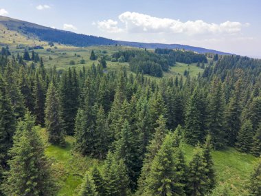 Bulgaristan 'ın Sofya Şehir Bölgesi, Vitosha Dağı' ndaki Konyarnika bölgesinin havadan görüntüsü