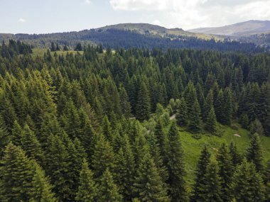 Bulgaristan 'ın Sofya Şehir Bölgesi, Vitosha Dağı' ndaki Konyarnika bölgesinin havadan görüntüsü