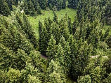 Bulgaristan 'ın Sofya Şehir Bölgesi, Vitosha Dağı' ndaki Konyarnika bölgesinin havadan görüntüsü