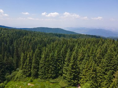 Bulgaristan 'ın Sofya Şehir Bölgesi, Vitosha Dağı' ndaki Konyarnika bölgesinin havadan görüntüsü