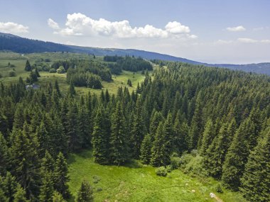 Bulgaristan 'ın Sofya Şehir Bölgesi, Vitosha Dağı' ndaki Konyarnika bölgesinin havadan görüntüsü