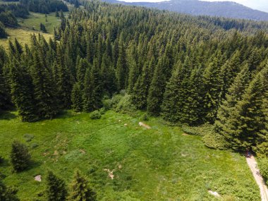 Bulgaristan 'ın Sofya Şehir Bölgesi, Vitosha Dağı' ndaki Konyarnika bölgesinin havadan görüntüsü