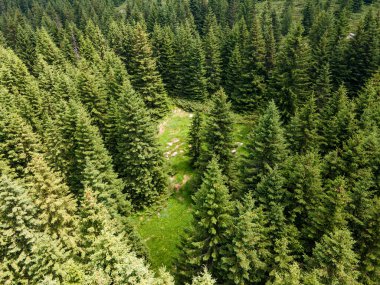 Bulgaristan 'ın Sofya Şehir Bölgesi, Vitosha Dağı' ndaki Konyarnika bölgesinin havadan görüntüsü