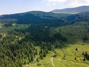 Bulgaristan 'ın Sofya Şehir Bölgesi, Vitosha Dağı' ndaki Konyarnika bölgesinin havadan görüntüsü