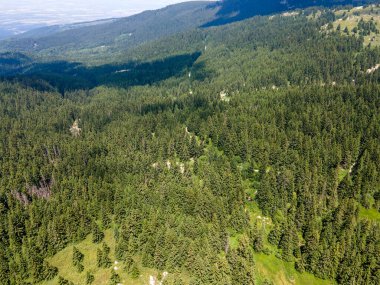Bulgaristan 'ın Sofya Şehir Bölgesi, Vitosha Dağı' ndaki Konyarnika bölgesinin havadan görüntüsü