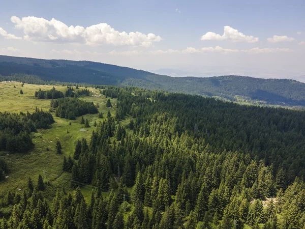 Vue Aérienne Région Konyarnika Montagne Vitosha Région Sofia Bulgarie — Photo