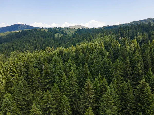 Letecký Pohled Oblast Konyarnika Hoře Vitosha Sofijský Městský Region Bulharsko — Stock fotografie