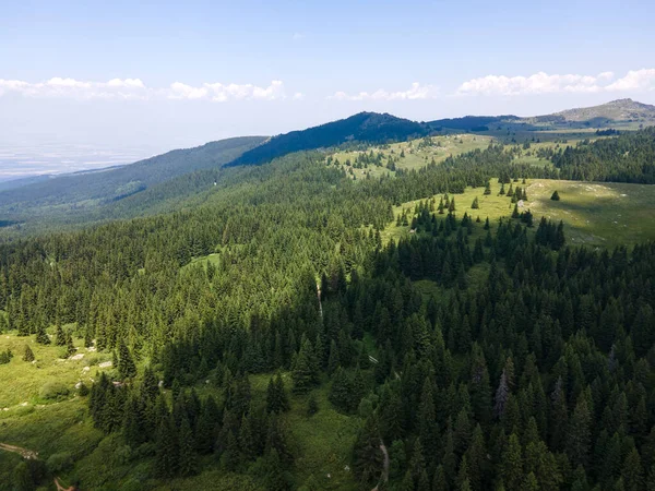 Αεροφωτογραφία Της Περιοχής Konyarnika Στο Όρος Vitosha Περιφέρεια Πόλης Της — Φωτογραφία Αρχείου