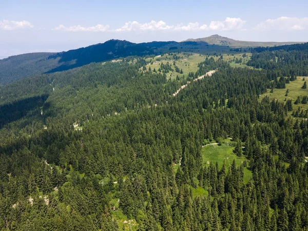 Bulgaristan Sofya Şehir Bölgesi Vitosha Dağı Ndaki Konyarnika Bölgesinin Havadan — Stok fotoğraf