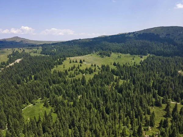 Vue Aérienne Région Konyarnika Montagne Vitosha Région Sofia Bulgarie — Photo