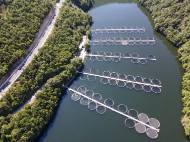 Krichim Reservoir, Rhodopes Dağı, Filibe Bölgesi, Bulgaristan