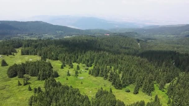 Αεροφωτογραφία Της Περιοχής Konyarnika Vitosha Mountain Περιφέρεια Πόλης Της Σόφιας — Αρχείο Βίντεο