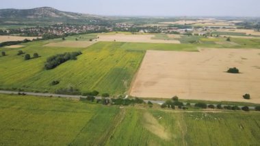 Bulgaristan 'ın Pazardzhik bölgesindeki Boshulya köyünün hava manzaralı ayçiçeği manzarası