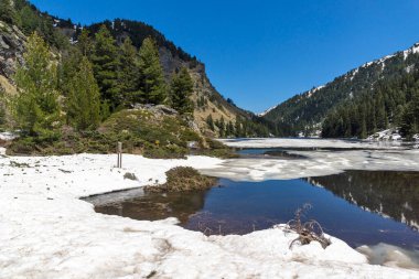 Suhoto Gölü 'nün (kuru göl) bahar manzarası, Rila Dağı, Kyustendil bölgesi, Bulgaristan