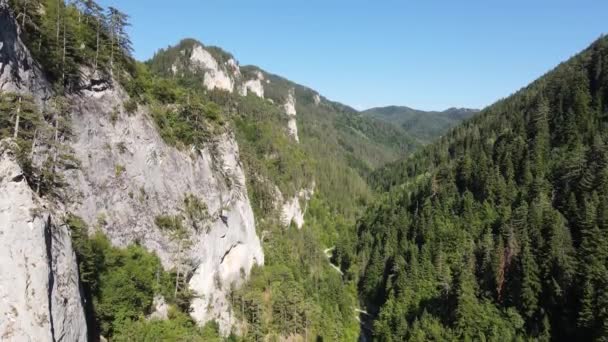 Vista Aérea Garganta Trigrad Las Montañas Rhodope Región Smolyan Bulgaria — Vídeo de stock