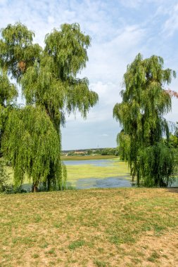 Romanya 'nın Bükreş kenti yakınlarındaki Ganden ve Mogosoaia Sarayı' nın yaz manzarası