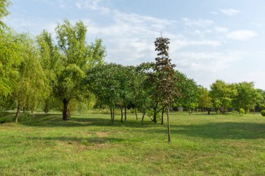 Romanya 'nın Bükreş kenti yakınlarındaki Ganden ve Mogosoaia Sarayı' nın yaz manzarası