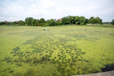 Romanya, Bükreş, Mogosoaia Sarayı, Mogosoaia Gölü, Mogosoaia Gölü, Mogosoaia Sarayı, Saray, brancoveanu, brancavenesc, göl, park, bahçe, tuğla, tarih, tarihi, klasik, mimari, avlu, başkent, malikane, rönesans, şehir manzarası, şehir turu, iç çekiş