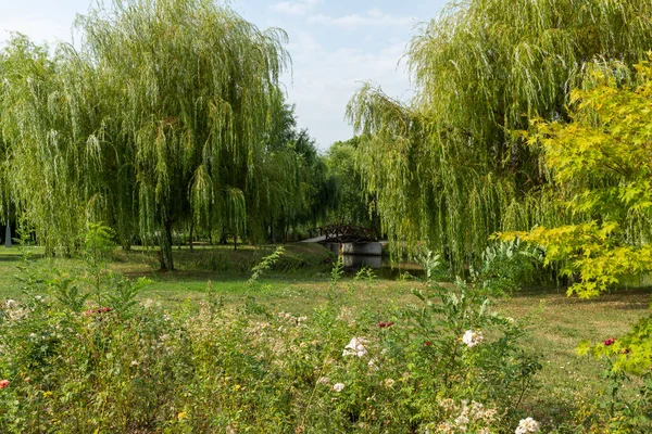 Sommer Ansicht Von Gandens Und See Von Mogosoaia Palace Der — Stockfoto