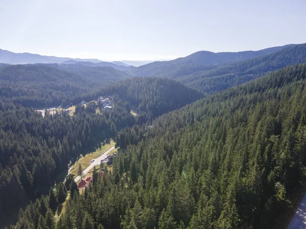 Letecký Pohled Rhodopské Hory Blízkosti Lyžařského Střediska Pamporovo Smolyan Region — Stock fotografie