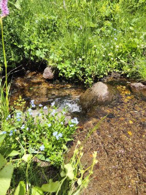 Bulgaristan 'ın Sofya Şehir Bölgesi Vitosha Dağı' ndaki Konyarnika bölgesinin manzarası