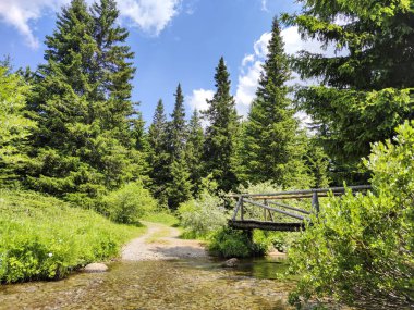 Bulgaristan 'ın Sofya Şehir Bölgesi Vitosha Dağı' ndaki Konyarnika bölgesinin manzarası