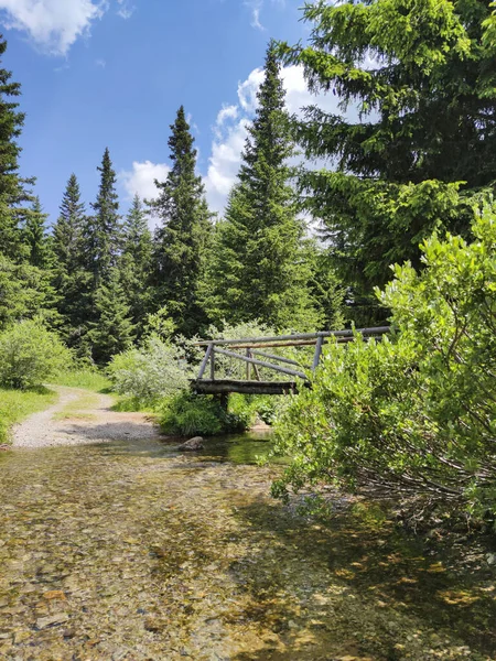 Landskap Konyarnika Området Vid Vitosha Mountain Sofia City Region Bulgarien — Stockfoto