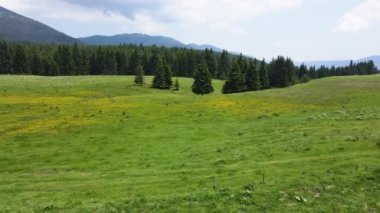 Bulgaristan 'ın Belmeken Barajı yakınlarındaki Rila dağının şaşırtıcı hava manzarası