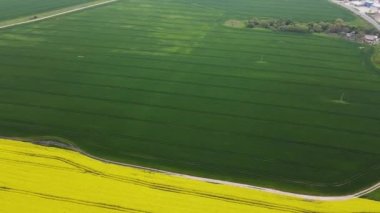Bulgaristan 'ın Haskovo kenti yakınlarındaki Blooming tecavüz tarlasının hava görüntüsü