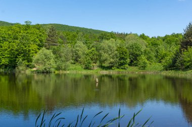 Bulgaristan 'ın Sofya Bölgesi, Lozenska Dağı' ndaki Sua Gabra Gölleri 'nin muhteşem manzarası