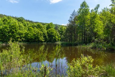 Bulgaristan 'ın Sofya Bölgesi, Lozenska Dağı' ndaki Sua Gabra Gölleri 'nin muhteşem manzarası