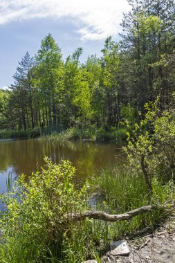 Bulgaristan 'ın Sofya Bölgesi, Lozenska Dağı' ndaki Sua Gabra Gölleri 'nin muhteşem manzarası