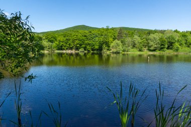 Bulgaristan 'ın Sofya Bölgesi, Lozenska Dağı' ndaki Sua Gabra Gölleri 'nin muhteşem manzarası