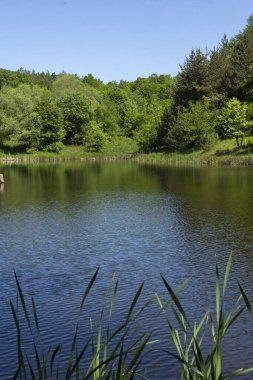 Bulgaristan 'ın Sofya Bölgesi, Lozenska Dağı' ndaki Sua Gabra Gölleri 'nin muhteşem manzarası