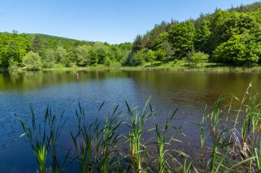 Bulgaristan 'ın Sofya Bölgesi, Lozenska Dağı' ndaki Sua Gabra Gölleri 'nin muhteşem manzarası