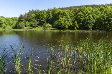 Bulgaristan 'ın Sofya Bölgesi, Lozenska Dağı' ndaki Sua Gabra Gölleri 'nin muhteşem manzarası