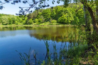 Bulgaristan 'ın Sofya Bölgesi, Lozenska Dağı' ndaki Sua Gabra Gölleri 'nin muhteşem manzarası