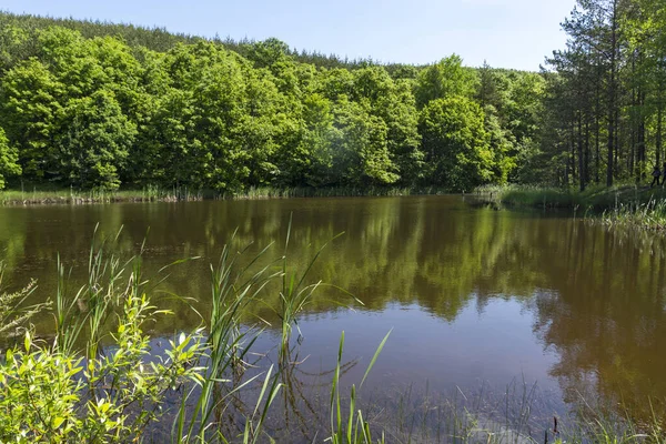 Úžasná Krajina Jezera Sua Gabra Lozenské Hoře Sofijský Kraj Bulharsko — Stock fotografie