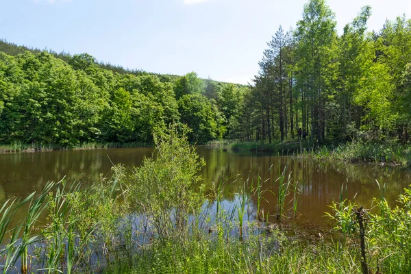 Úžasná Krajina Jezera Sua Gabra Lozenské Hoře Sofijský Kraj Bulharsko — Stock fotografie