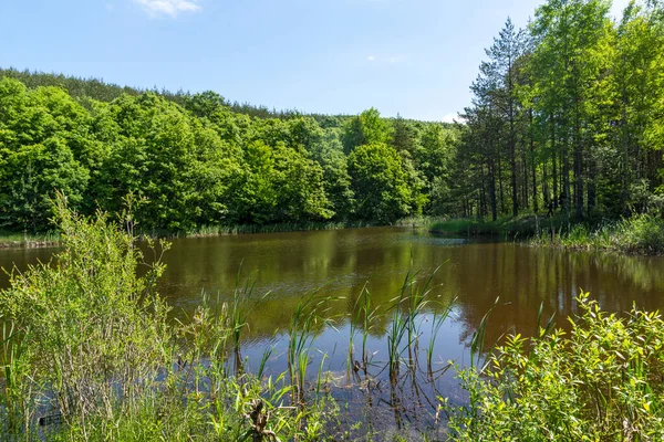 Úžasná Krajina Jezera Sua Gabra Lozenské Hoře Sofijský Kraj Bulharsko — Stock fotografie