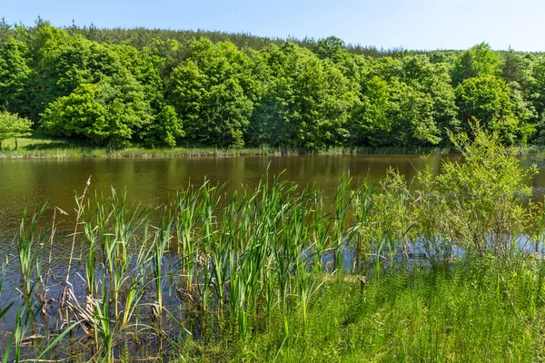 Verbazingwekkend Landschap Van Sua Gabra Meren Bij Lozenska Mountain Regio — Stockfoto