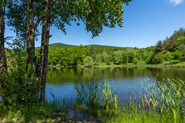 Paysage Incroyable Des Lacs Sua Gabra Lozenska Mountain Sofia Region — Photo