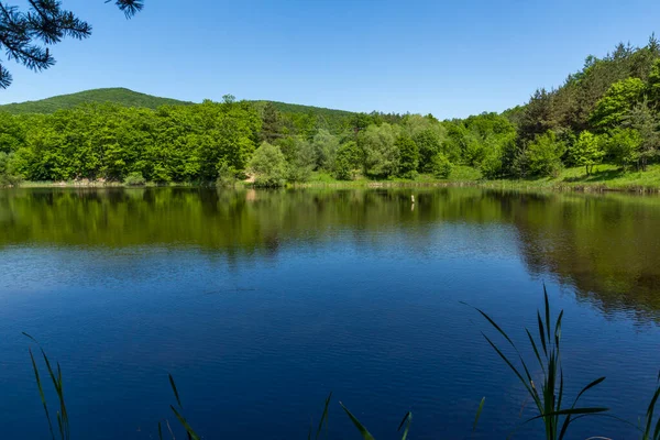 保加利亚索菲亚地区Lozenska山Sua Gabra湖迷人的风景 — 图库照片